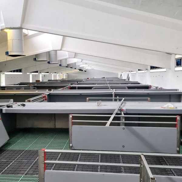 RIQUALIFICAZIONE STALLA campagnaro costruzioni